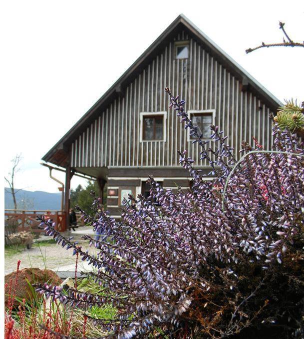 Horsky Ranc Hotel Pec pod Snezkou Exterior photo